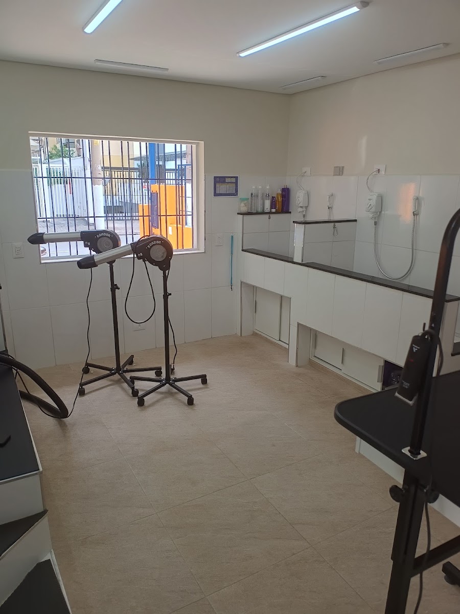 Sala de banho e tosa com secadores e banheiras